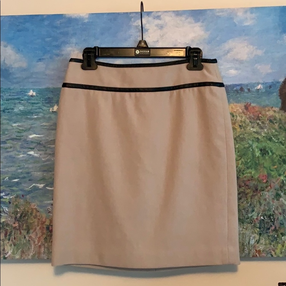 Ann Taylor Size 2 thick pale pink lined skirt